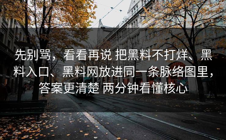 先别骂，看看再说 把黑料不打烊、黑料入口、黑料网放进同一条脉络图里，答案更清楚 两分钟看懂核心