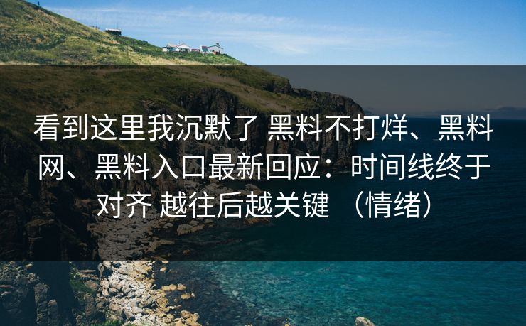 看到这里我沉默了 黑料不打烊、黑料网、黑料入口最新回应：时间线终于对齐 越往后越关键 （情绪）