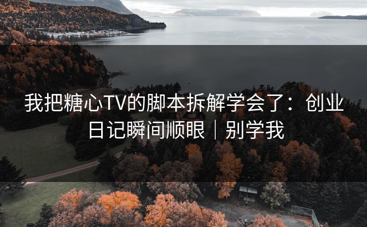 我把糖心TV的脚本拆解学会了：创业日记瞬间顺眼｜别学我
