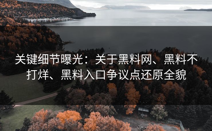 关键细节曝光：关于黑料网、黑料不打烊、黑料入口争议点还原全貌