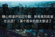 糖心频道评论区吵翻：断舍离到底谁在说谎？｜某个周末的我太狠话了