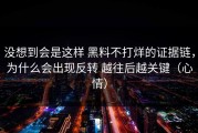 没想到会是这样 黑料不打烊的证据链，为什么会出现反转 越往后越关键（心情）