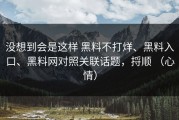 没想到会是这样 黑料不打烊、黑料入口、黑料网对照关联话题，捋顺 （心情）