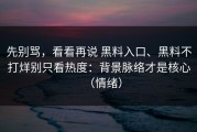 先别骂，看看再说 黑料入口、黑料不打烊别只看热度：背景脉络才是核心（情绪）