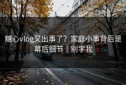 糖心vlog又出事了？家庭小事背后是幕后细节｜别学我
