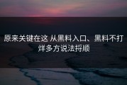 原来关键在这 从黑料入口、黑料不打烊多方说法捋顺