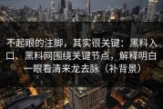 不起眼的注脚，其实很关键：黑料入口、黑料网围绕关键节点，解释明白 一眼看清来龙去脉（补背景）