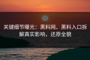 关键细节曝光：黑料网、黑料入口拆解真实影响，还原全貌
