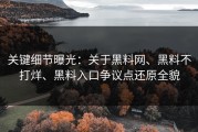 关键细节曝光：关于黑料网、黑料不打烊、黑料入口争议点还原全貌