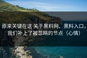 原来关键在这 关于黑料网、黑料入口，我们补上了被忽略的节点（心情）