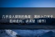 几乎没人提到的角度：黑料入口关于后续走向，讲清楚（细节）