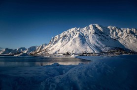老板突然被夸到脸红，糖心频道把全过程拍下来了（越扒越离谱）