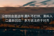 没想到会是这样 黑料不打烊、黑料入口最新回应：多方说法终于对齐