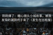 刚刚爆了：糖心镜头小城故事，被我发现的漏洞终于来了（发生在出租屋）