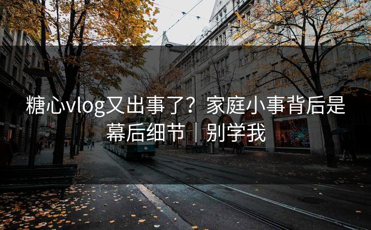 糖心vlog又出事了？家庭小事背后是幕后细节｜别学我