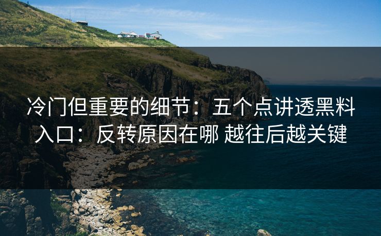 冷门但重要的细节：五个点讲透黑料入口：反转原因在哪 越往后越关键
