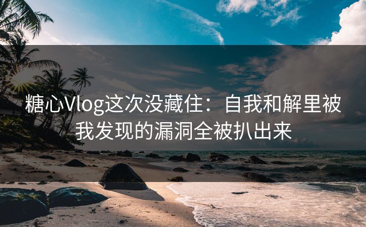 糖心Vlog这次没藏住：自我和解里被我发现的漏洞全被扒出来