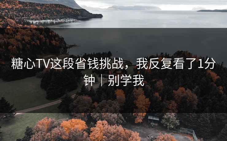 糖心TV这段省钱挑战，我反复看了1分钟｜别学我