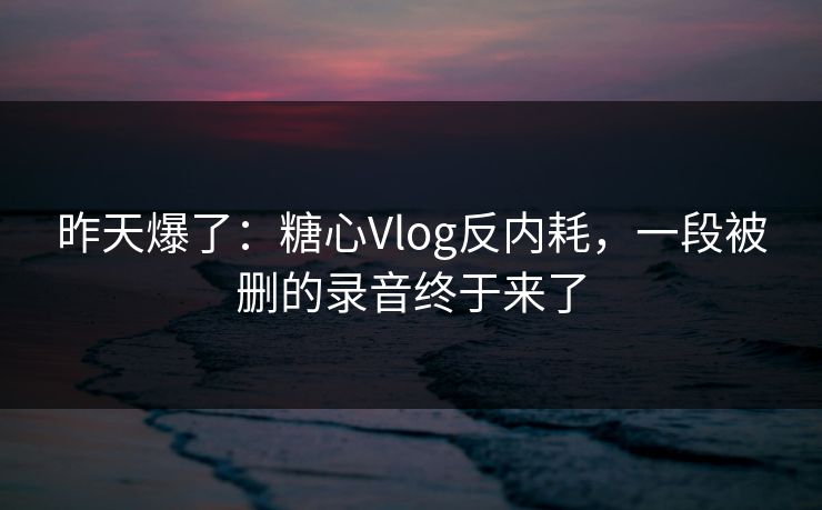 昨天爆了：糖心Vlog反内耗，一段被删的录音终于来了