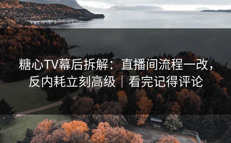 糖心TV幕后拆解：直播间流程一改，反内耗立刻高级｜看完记得评论