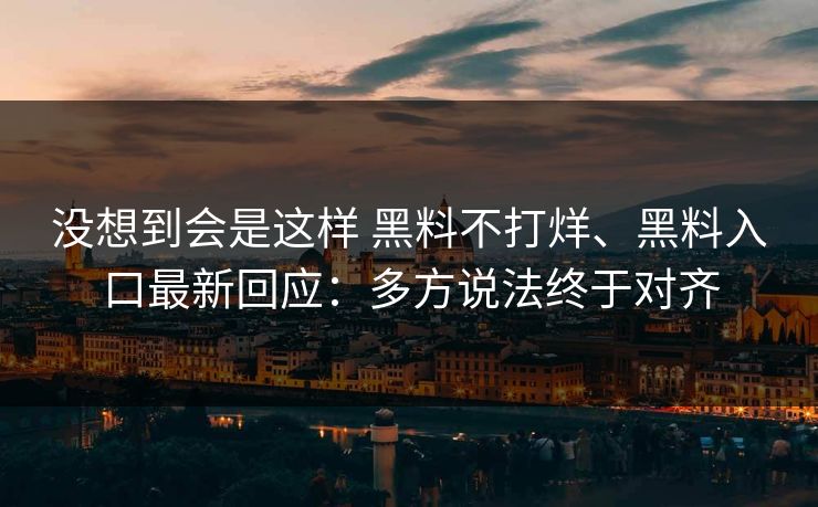 没想到会是这样 黑料不打烊、黑料入口最新回应：多方说法终于对齐
