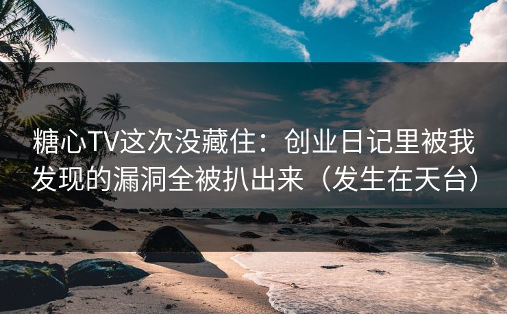 糖心TV这次没藏住：创业日记里被我发现的漏洞全被扒出来（发生在天台）